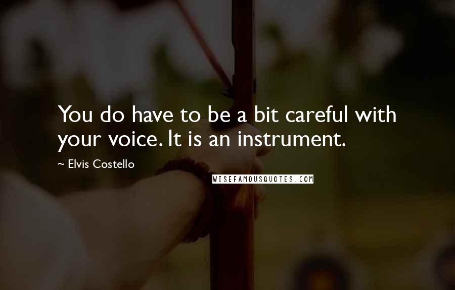 Elvis Costello Quotes: You do have to be a bit careful with your voice. It is an instrument.