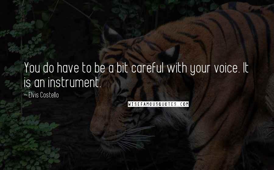 Elvis Costello Quotes: You do have to be a bit careful with your voice. It is an instrument.