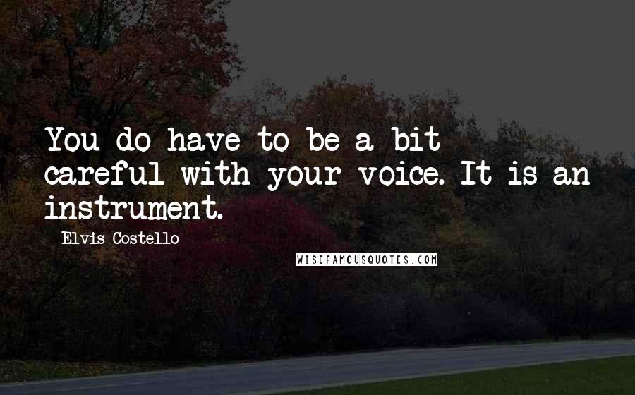 Elvis Costello Quotes: You do have to be a bit careful with your voice. It is an instrument.