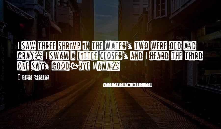 Elvis Presley Quotes: I saw three shrimp in the water, two were old and gray. I swam a little closer, and I heard the third one say, good-bye Mama.