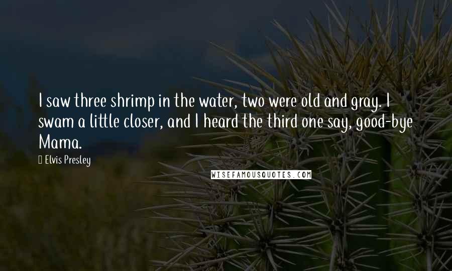 Elvis Presley Quotes: I saw three shrimp in the water, two were old and gray. I swam a little closer, and I heard the third one say, good-bye Mama.