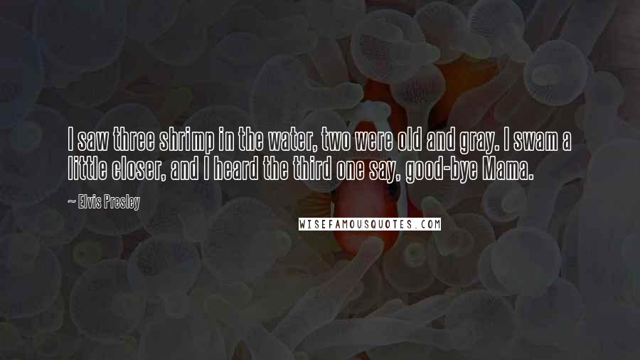 Elvis Presley Quotes: I saw three shrimp in the water, two were old and gray. I swam a little closer, and I heard the third one say, good-bye Mama.