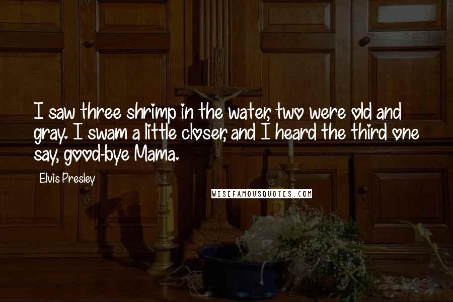 Elvis Presley Quotes: I saw three shrimp in the water, two were old and gray. I swam a little closer, and I heard the third one say, good-bye Mama.