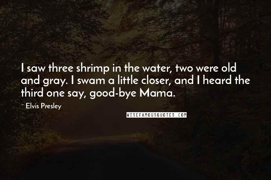Elvis Presley Quotes: I saw three shrimp in the water, two were old and gray. I swam a little closer, and I heard the third one say, good-bye Mama.