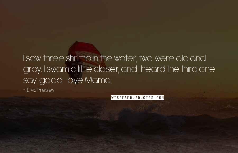 Elvis Presley Quotes: I saw three shrimp in the water, two were old and gray. I swam a little closer, and I heard the third one say, good-bye Mama.