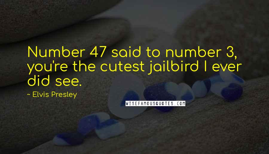 Elvis Presley Quotes: Number 47 said to number 3, you're the cutest jailbird I ever did see.