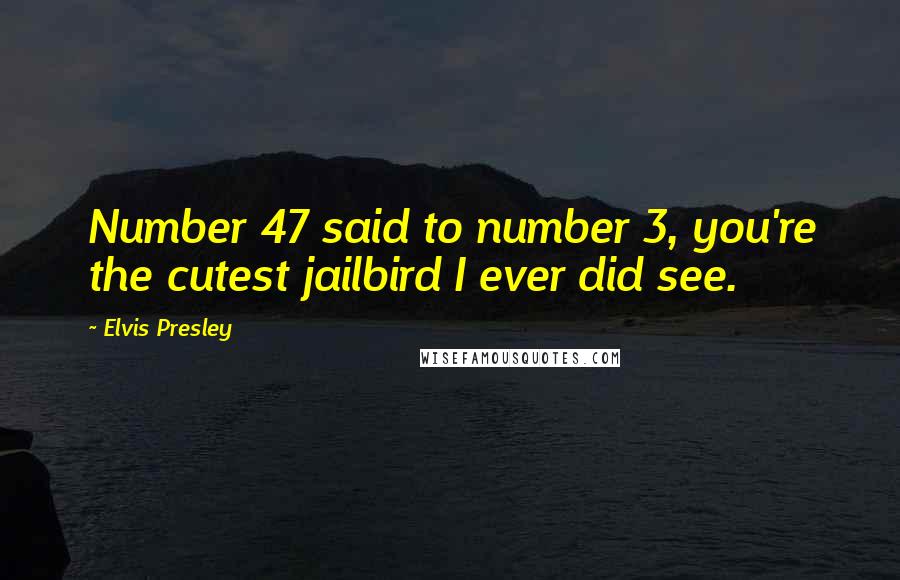 Elvis Presley Quotes: Number 47 said to number 3, you're the cutest jailbird I ever did see.