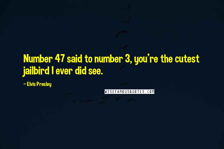 Elvis Presley Quotes: Number 47 said to number 3, you're the cutest jailbird I ever did see.