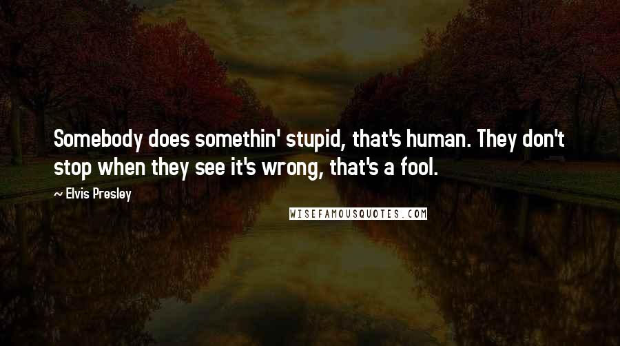 Elvis Presley Quotes: Somebody does somethin' stupid, that's human. They don't stop when they see it's wrong, that's a fool.