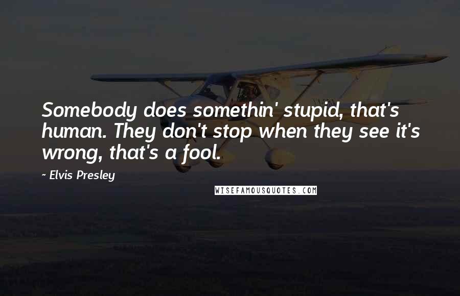 Elvis Presley Quotes: Somebody does somethin' stupid, that's human. They don't stop when they see it's wrong, that's a fool.