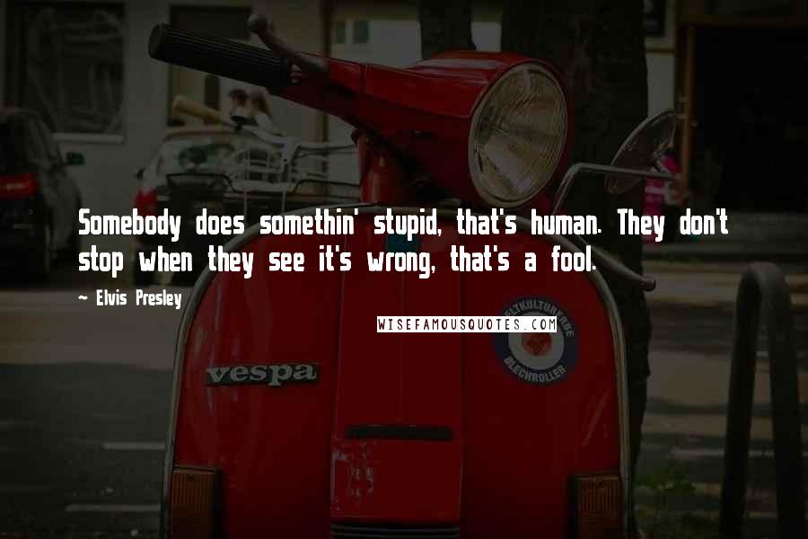 Elvis Presley Quotes: Somebody does somethin' stupid, that's human. They don't stop when they see it's wrong, that's a fool.