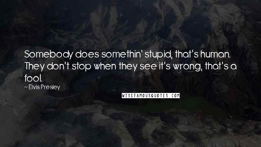 Elvis Presley Quotes: Somebody does somethin' stupid, that's human. They don't stop when they see it's wrong, that's a fool.