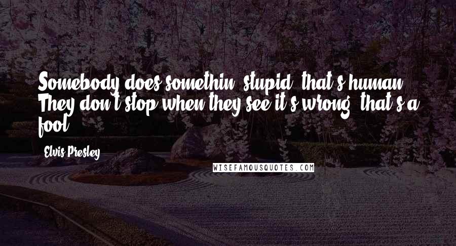 Elvis Presley Quotes: Somebody does somethin' stupid, that's human. They don't stop when they see it's wrong, that's a fool.