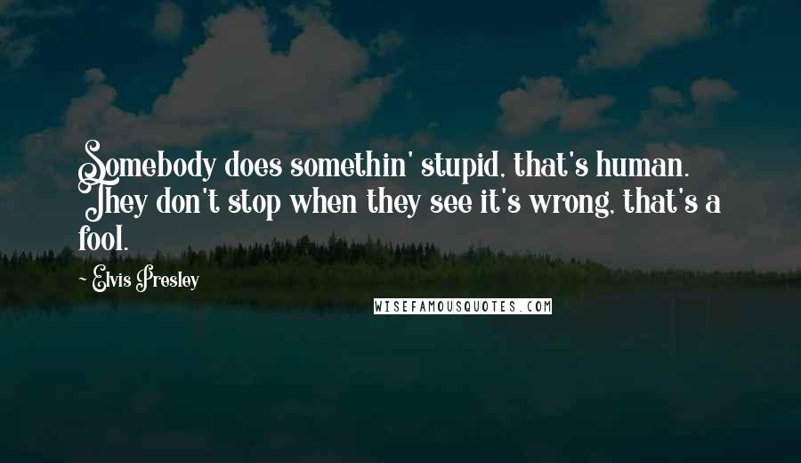 Elvis Presley Quotes: Somebody does somethin' stupid, that's human. They don't stop when they see it's wrong, that's a fool.