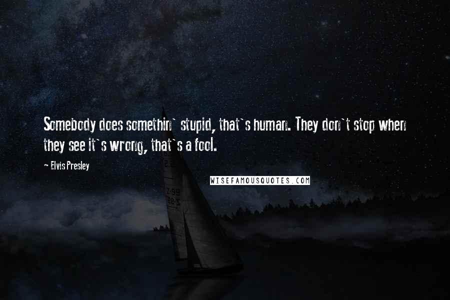 Elvis Presley Quotes: Somebody does somethin' stupid, that's human. They don't stop when they see it's wrong, that's a fool.