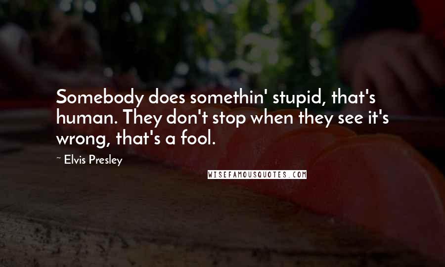 Elvis Presley Quotes: Somebody does somethin' stupid, that's human. They don't stop when they see it's wrong, that's a fool.