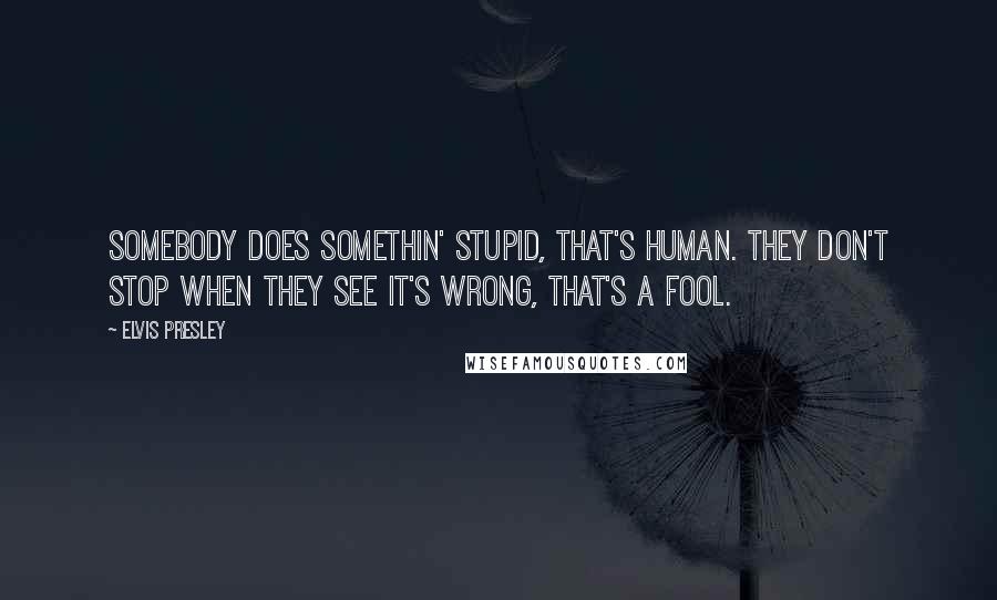 Elvis Presley Quotes: Somebody does somethin' stupid, that's human. They don't stop when they see it's wrong, that's a fool.