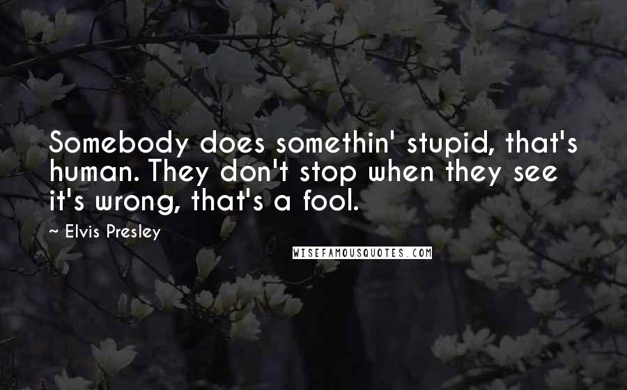 Elvis Presley Quotes: Somebody does somethin' stupid, that's human. They don't stop when they see it's wrong, that's a fool.