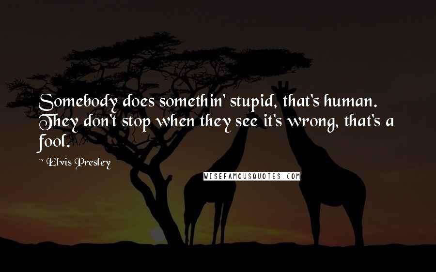 Elvis Presley Quotes: Somebody does somethin' stupid, that's human. They don't stop when they see it's wrong, that's a fool.