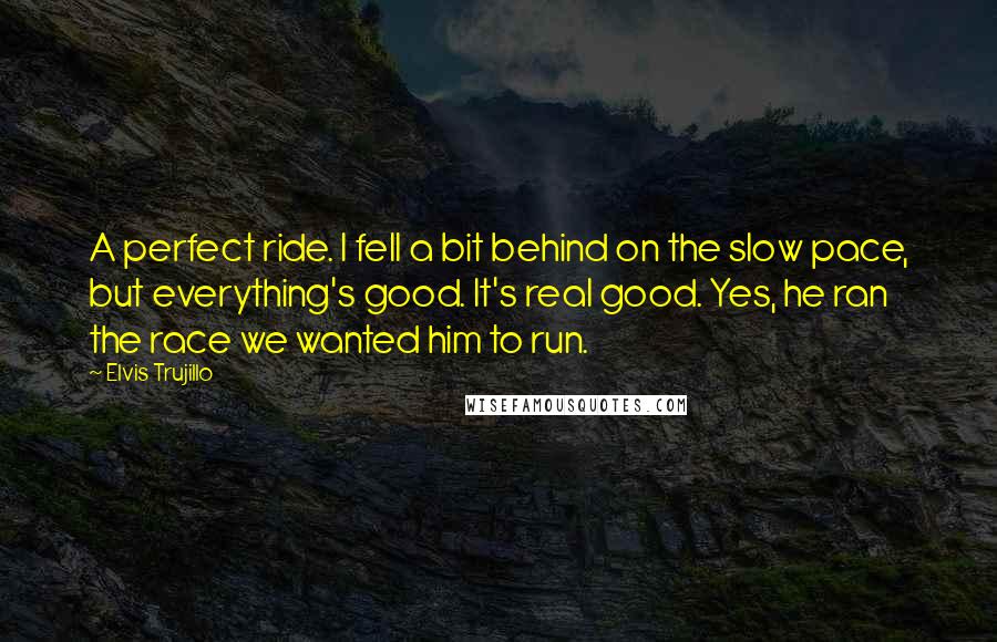 Elvis Trujillo Quotes: A perfect ride. I fell a bit behind on the slow pace, but everything's good. It's real good. Yes, he ran the race we wanted him to run.