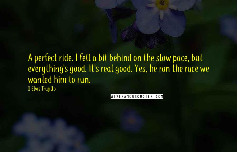 Elvis Trujillo Quotes: A perfect ride. I fell a bit behind on the slow pace, but everything's good. It's real good. Yes, he ran the race we wanted him to run.