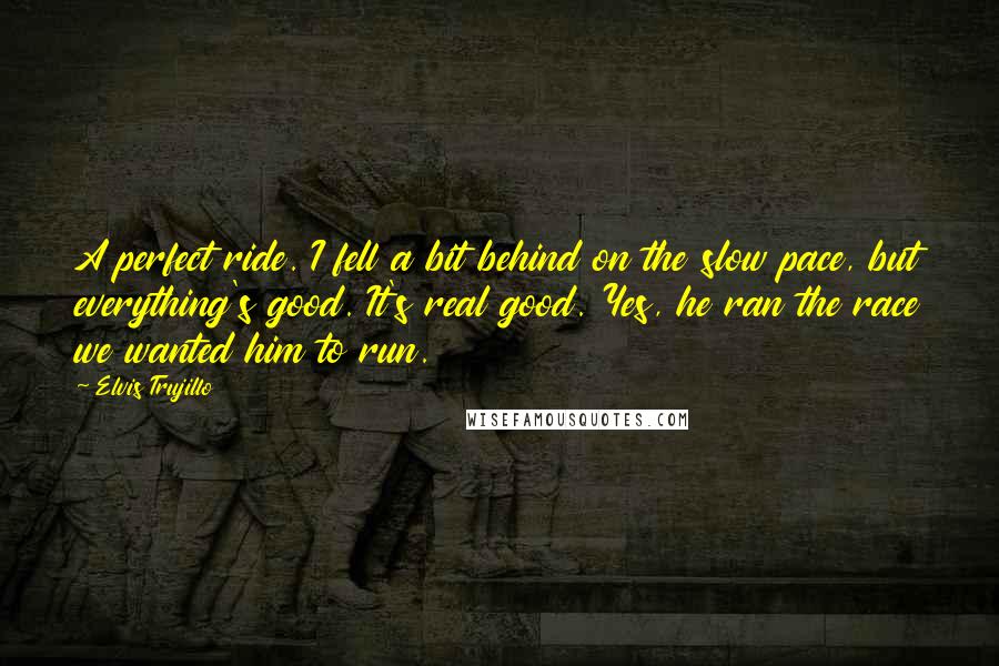 Elvis Trujillo Quotes: A perfect ride. I fell a bit behind on the slow pace, but everything's good. It's real good. Yes, he ran the race we wanted him to run.