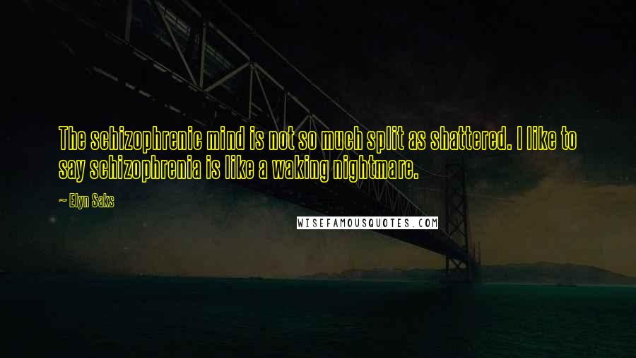 Elyn Saks Quotes: The schizophrenic mind is not so much split as shattered. I like to say schizophrenia is like a waking nightmare.