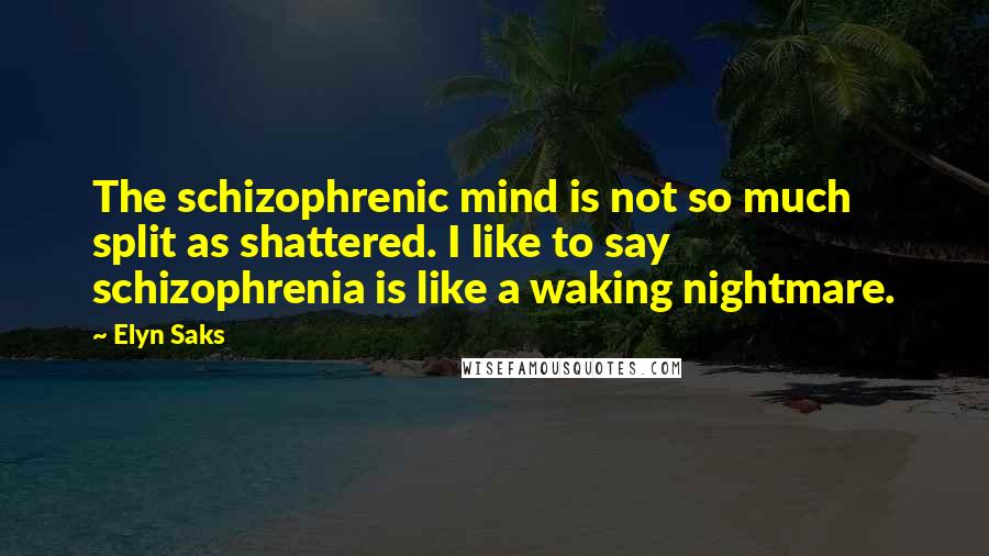 Elyn Saks Quotes: The schizophrenic mind is not so much split as shattered. I like to say schizophrenia is like a waking nightmare.