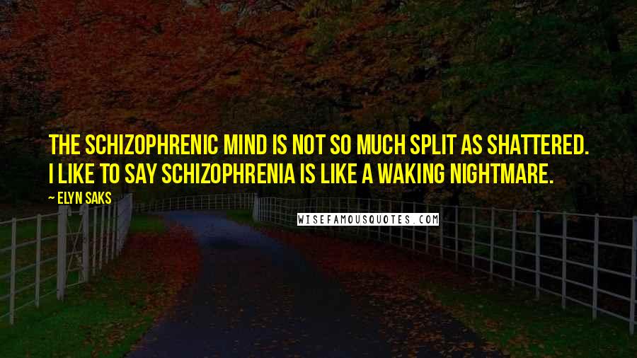 Elyn Saks Quotes: The schizophrenic mind is not so much split as shattered. I like to say schizophrenia is like a waking nightmare.