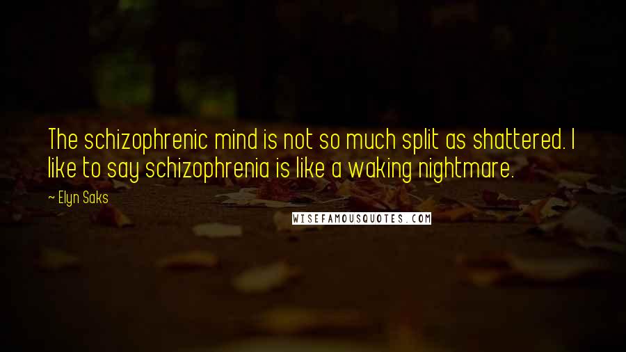 Elyn Saks Quotes: The schizophrenic mind is not so much split as shattered. I like to say schizophrenia is like a waking nightmare.