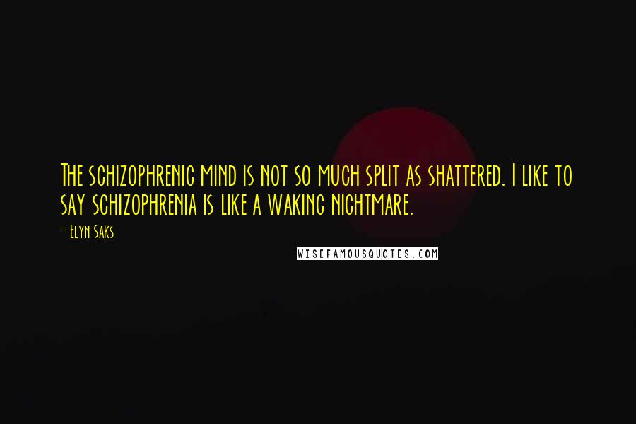 Elyn Saks Quotes: The schizophrenic mind is not so much split as shattered. I like to say schizophrenia is like a waking nightmare.