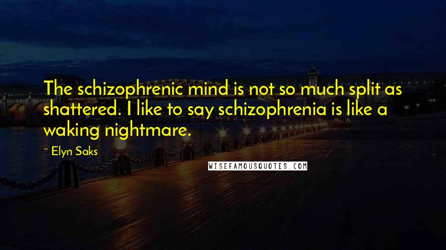 Elyn Saks Quotes: The schizophrenic mind is not so much split as shattered. I like to say schizophrenia is like a waking nightmare.