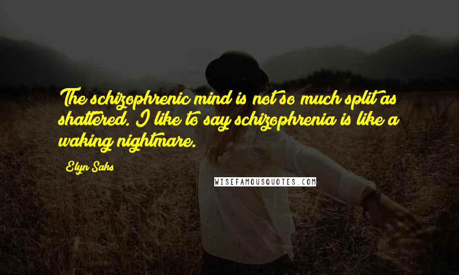 Elyn Saks Quotes: The schizophrenic mind is not so much split as shattered. I like to say schizophrenia is like a waking nightmare.