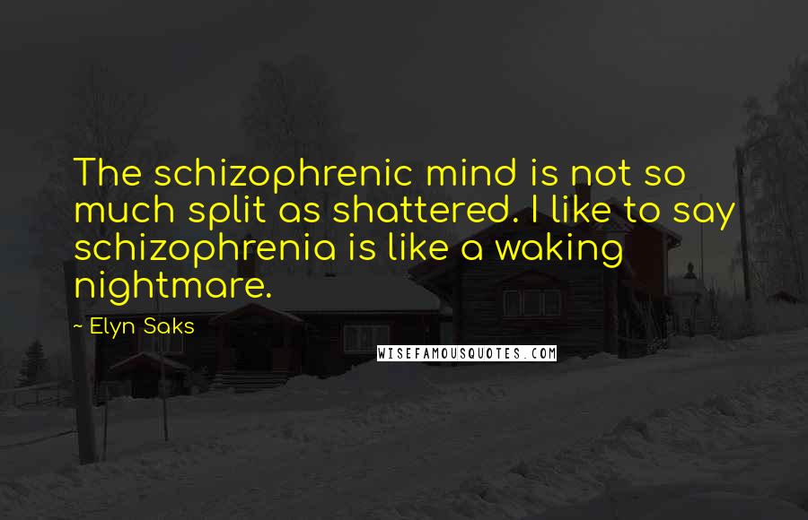 Elyn Saks Quotes: The schizophrenic mind is not so much split as shattered. I like to say schizophrenia is like a waking nightmare.
