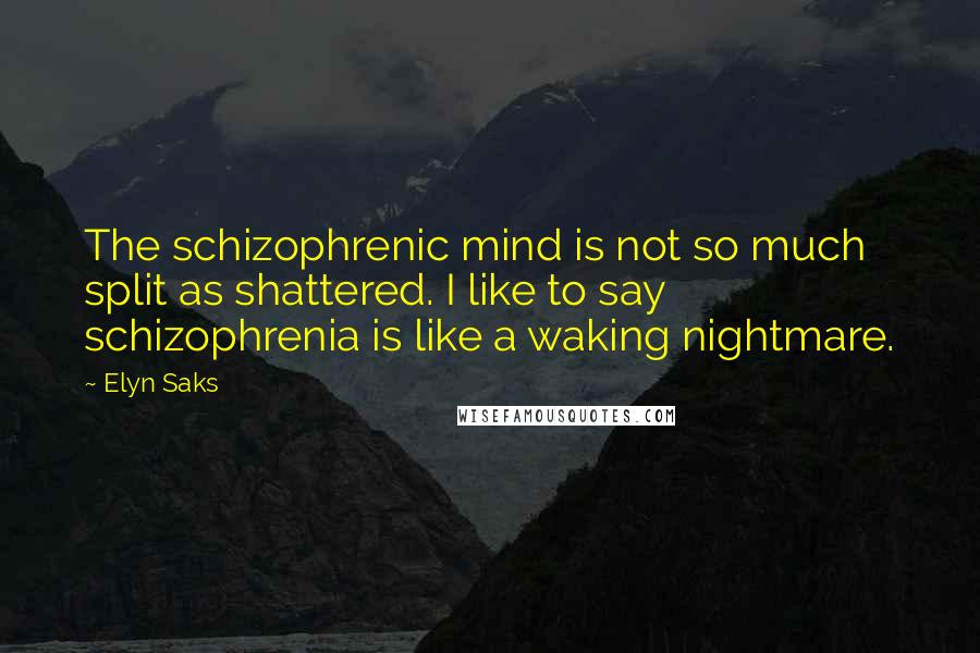 Elyn Saks Quotes: The schizophrenic mind is not so much split as shattered. I like to say schizophrenia is like a waking nightmare.