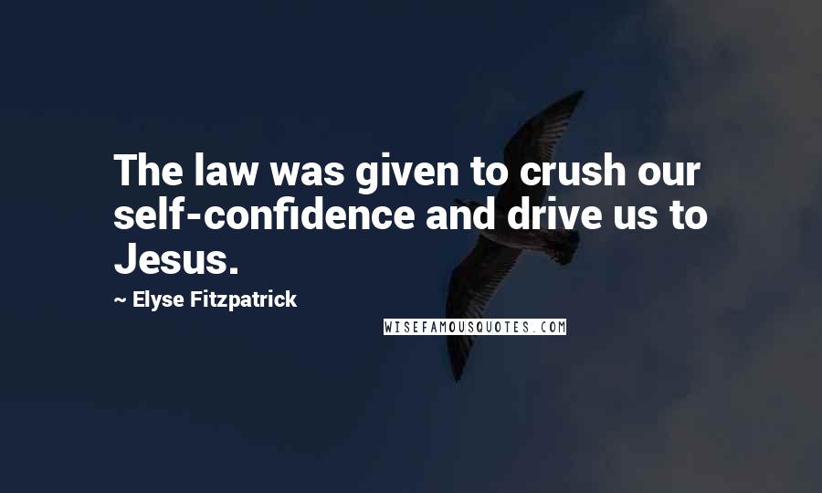 Elyse Fitzpatrick Quotes: The law was given to crush our self-confidence and drive us to Jesus.