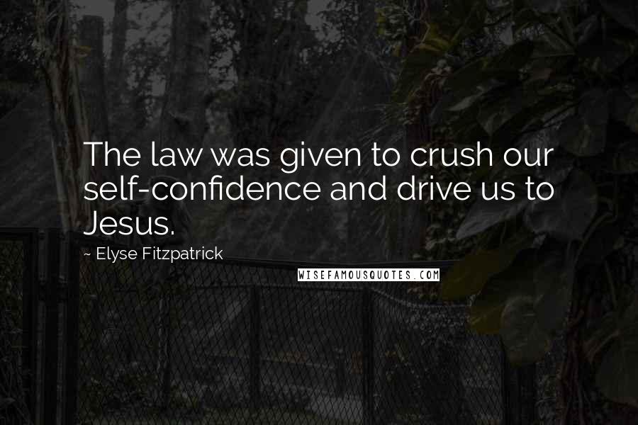 Elyse Fitzpatrick Quotes: The law was given to crush our self-confidence and drive us to Jesus.