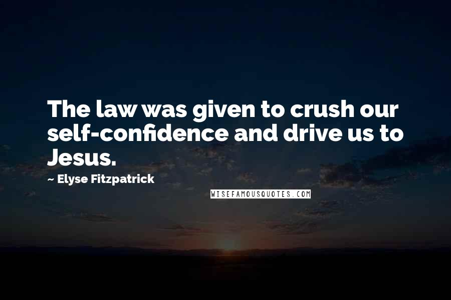 Elyse Fitzpatrick Quotes: The law was given to crush our self-confidence and drive us to Jesus.