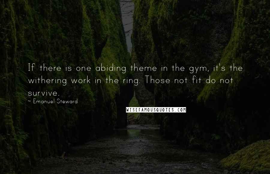 Emanuel Steward Quotes: If there is one abiding theme in the gym, it's the withering work in the ring. Those not fit do not survive.