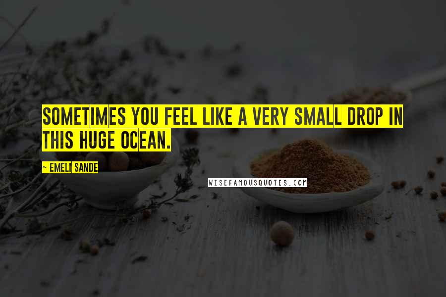 Emeli Sande Quotes: Sometimes you feel like a very small drop in this huge ocean.