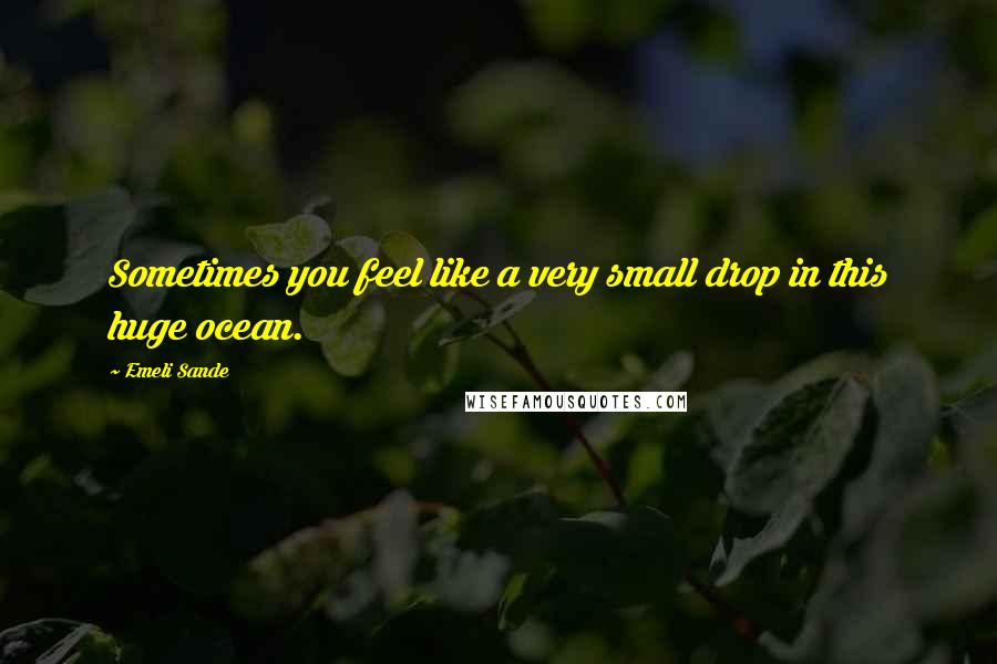 Emeli Sande Quotes: Sometimes you feel like a very small drop in this huge ocean.