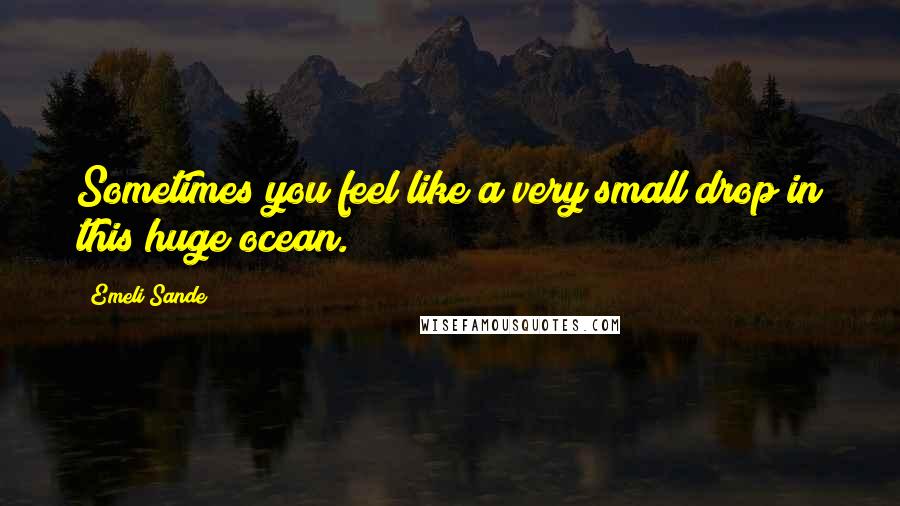 Emeli Sande Quotes: Sometimes you feel like a very small drop in this huge ocean.