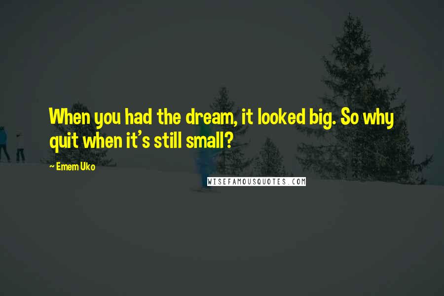 Emem Uko Quotes: When you had the dream, it looked big. So why quit when it's still small?