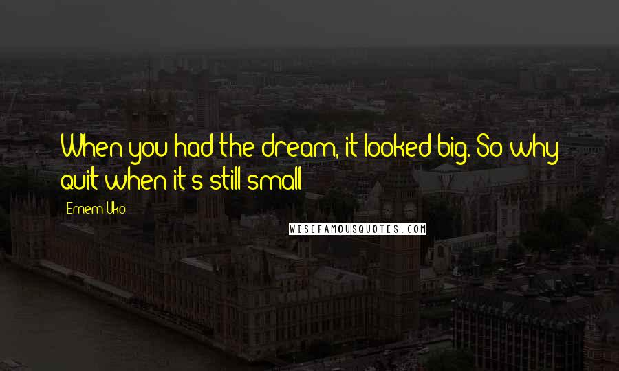Emem Uko Quotes: When you had the dream, it looked big. So why quit when it's still small?