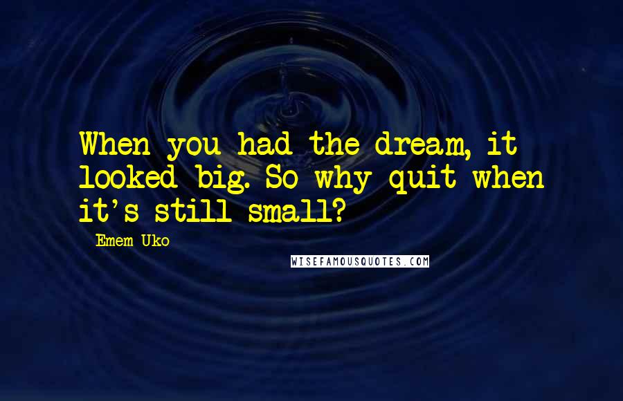 Emem Uko Quotes: When you had the dream, it looked big. So why quit when it's still small?