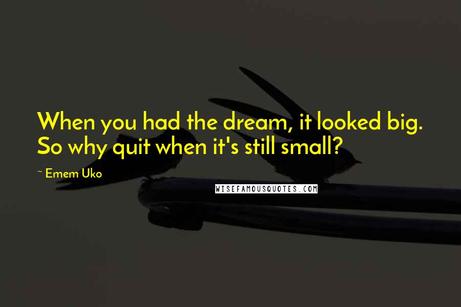 Emem Uko Quotes: When you had the dream, it looked big. So why quit when it's still small?