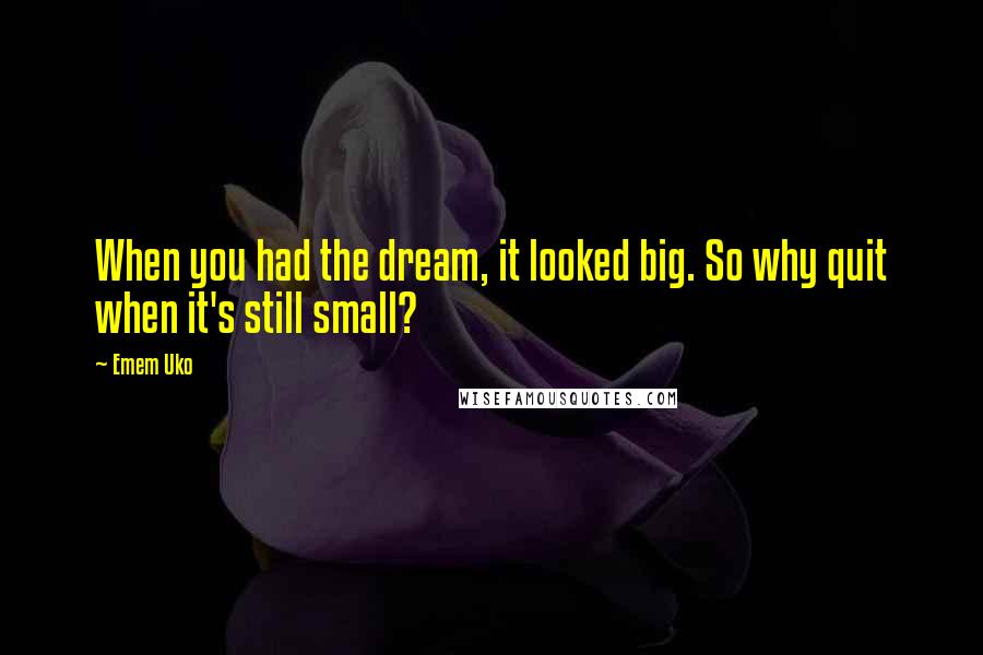 Emem Uko Quotes: When you had the dream, it looked big. So why quit when it's still small?