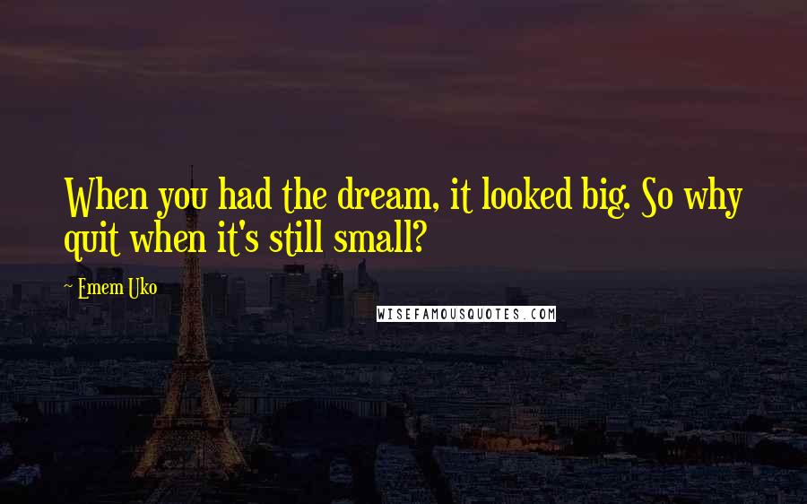 Emem Uko Quotes: When you had the dream, it looked big. So why quit when it's still small?