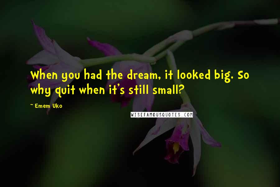 Emem Uko Quotes: When you had the dream, it looked big. So why quit when it's still small?