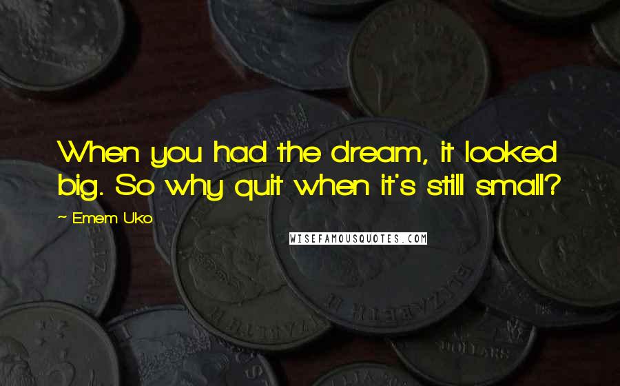 Emem Uko Quotes: When you had the dream, it looked big. So why quit when it's still small?